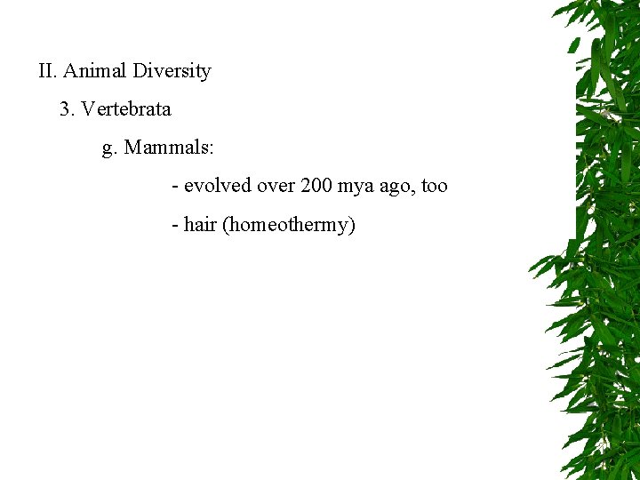 II. Animal Diversity 3. Vertebrata g. Mammals: - evolved over 200 mya ago, too