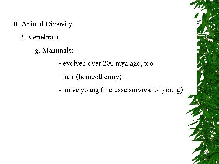 II. Animal Diversity 3. Vertebrata g. Mammals: - evolved over 200 mya ago, too