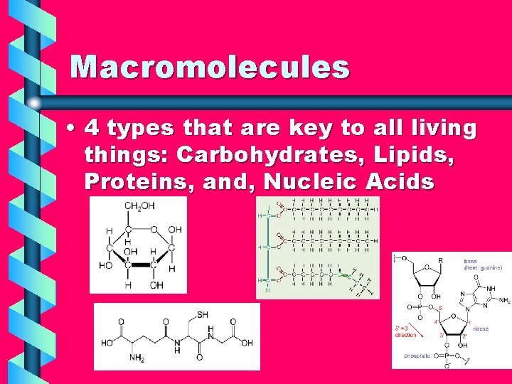 Macromolecules • 4 types that are key to all living things: Carbohydrates, Lipids, Proteins,