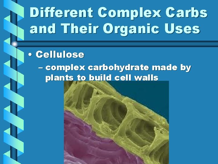 Different Complex Carbs and Their Organic Uses • Cellulose – complex carbohydrate made by