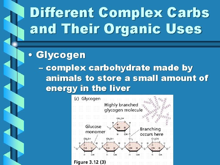 Different Complex Carbs and Their Organic Uses • Glycogen – complex carbohydrate made by