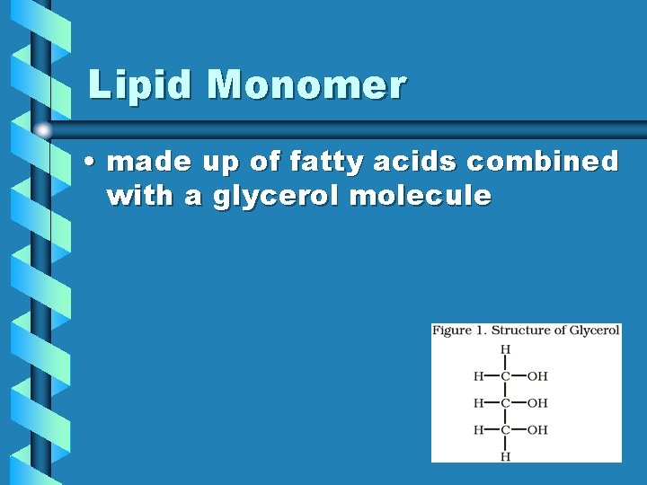 Lipid Monomer • made up of fatty acids combined with a glycerol molecule 