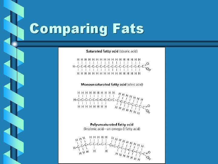 Comparing Fats Comparing Fats