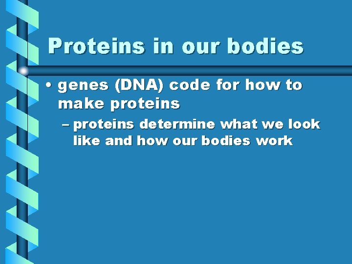 Proteins in our bodies • genes (DNA) code for how to make proteins –