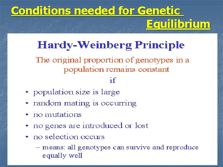 Conditions needed for Genetic Equilibrium 