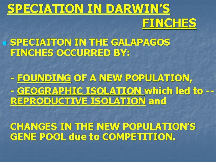 SPECIATION IN DARWIN’S FINCHES n SPECIAITON IN THE GALAPAGOS FINCHES OCCURRED BY: - FOUNDING