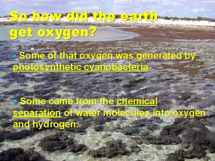 So how did the earth get oxygen? § Some of that oxygen was generated