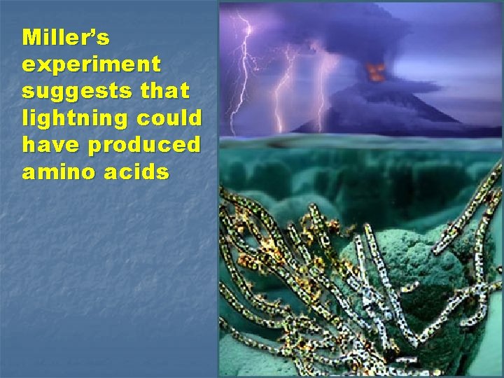 Miller’s experiment suggests that lightning could have produced amino acids 
