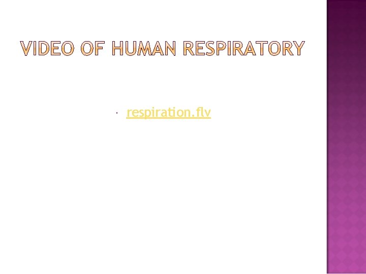  respiration. flv 