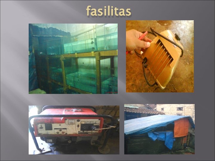 fasilitas 