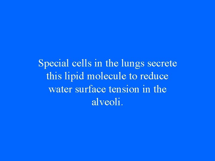 Special cells in the lungs secrete this lipid molecule to reduce water surface tension