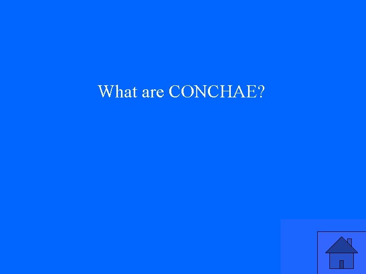 What are CONCHAE? 