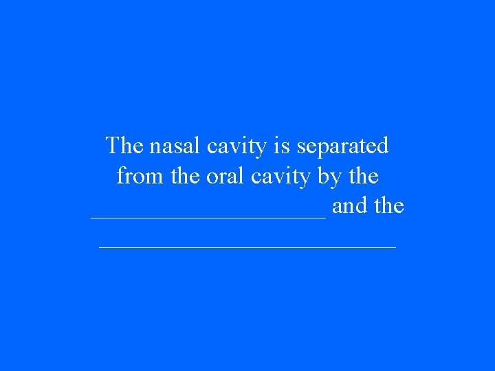 The nasal cavity is separated from the oral cavity by the __________ and the