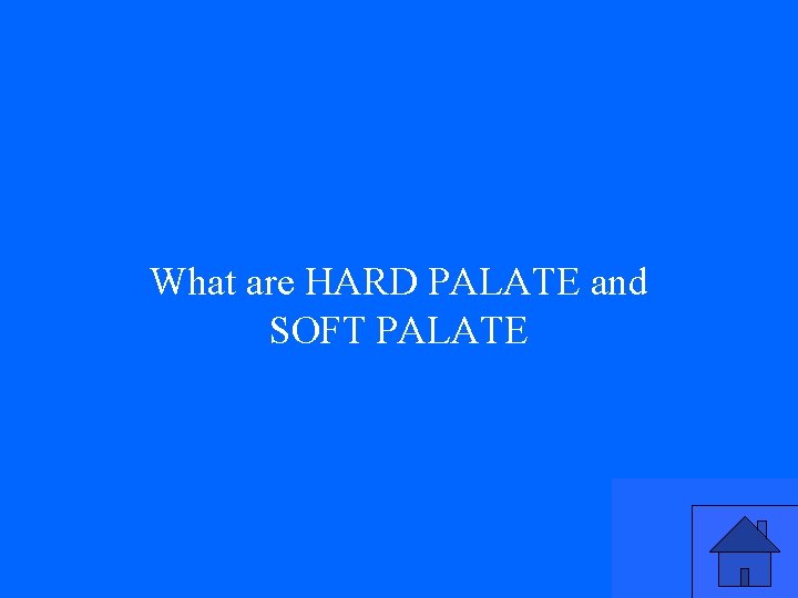 What are HARD PALATE and SOFT PALATE 