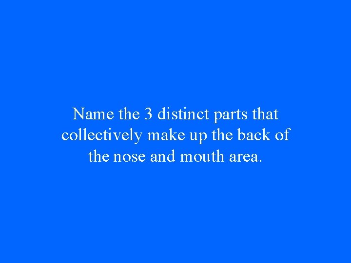 Name the 3 distinct parts that collectively make up the back of the nose