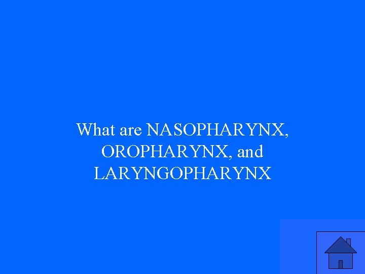 What are NASOPHARYNX, OROPHARYNX, and LARYNGOPHARYNX 