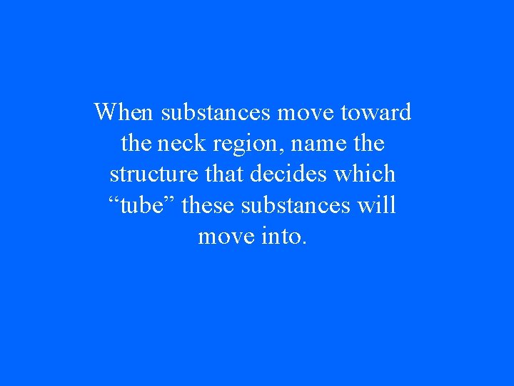 When substances move toward the neck region, name the structure that decides which “tube”