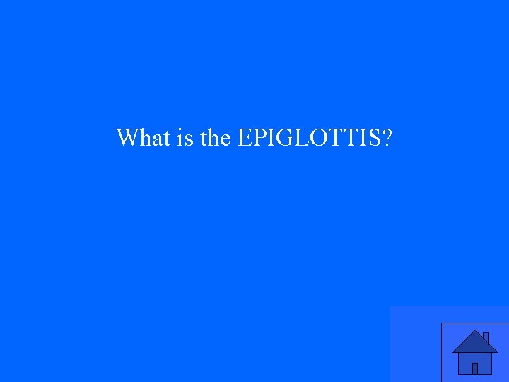 What is the EPIGLOTTIS? 