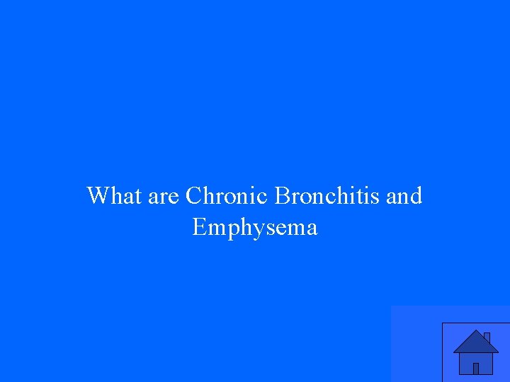 What are Chronic Bronchitis and Emphysema 