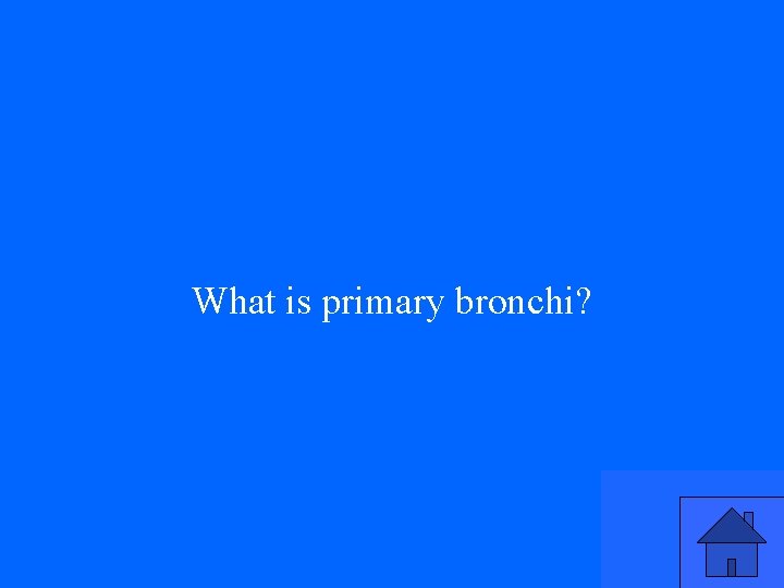 What is primary bronchi? 