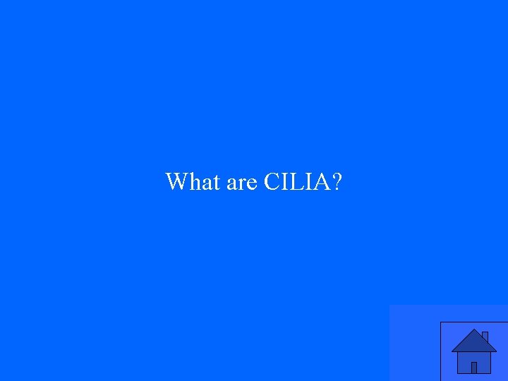 What are CILIA? 