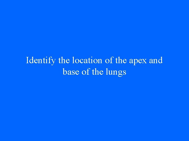 Identify the location of the apex and base of the lungs 