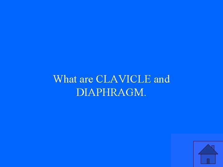 What are CLAVICLE and DIAPHRAGM. 