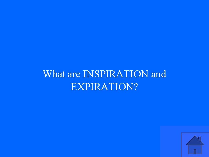 What are INSPIRATION and EXPIRATION? 