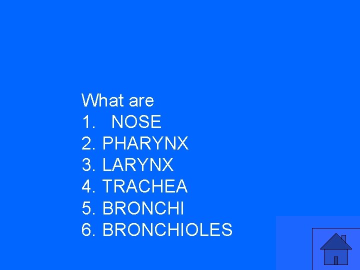 What are 1. NOSE 2. PHARYNX 3. LARYNX 4. TRACHEA 5. BRONCHI 6. BRONCHIOLES