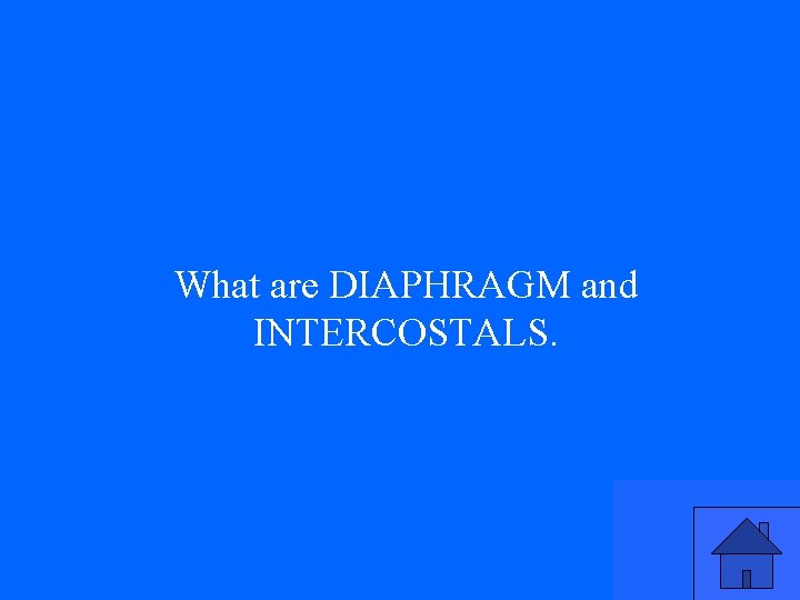 What are DIAPHRAGM and INTERCOSTALS. 