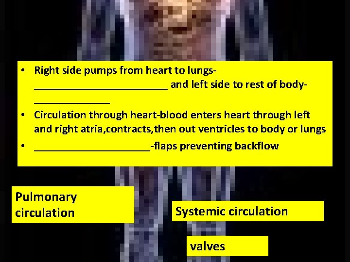  • Right side pumps from heart to lungs____________ and left side to rest