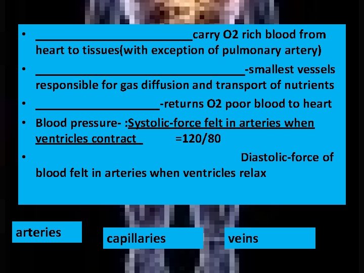  • ____________carry O 2 rich blood from heart to tissues(with exception of pulmonary