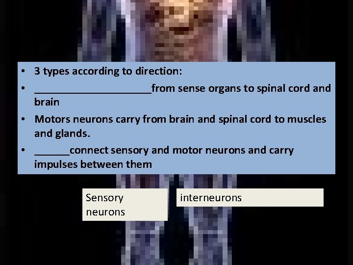  • 3 types according to direction: • __________from sense organs to spinal cord