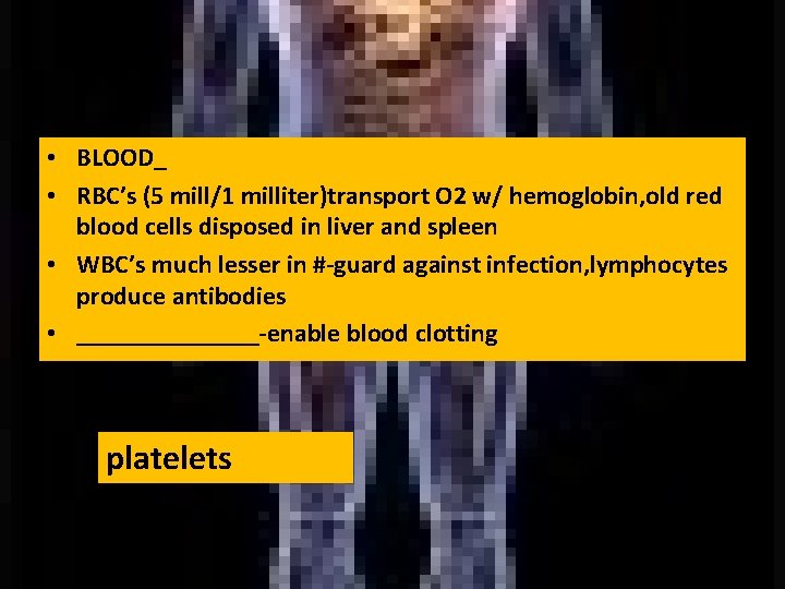  • BLOOD_ • RBC’s (5 mill/1 milliter)transport O 2 w/ hemoglobin, old red