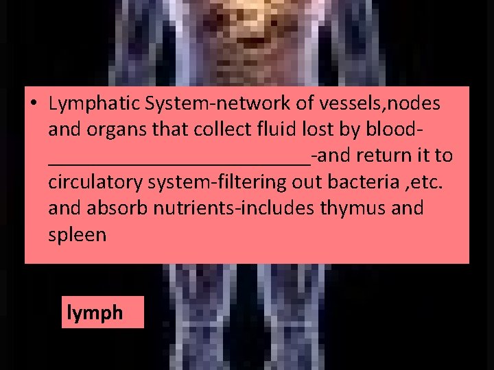  • Lymphatic System-network of vessels, nodes and organs that collect fluid lost by