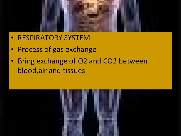  • RESPIRATORY SYSTEM • Process of gas exchange • Bring exchange of O