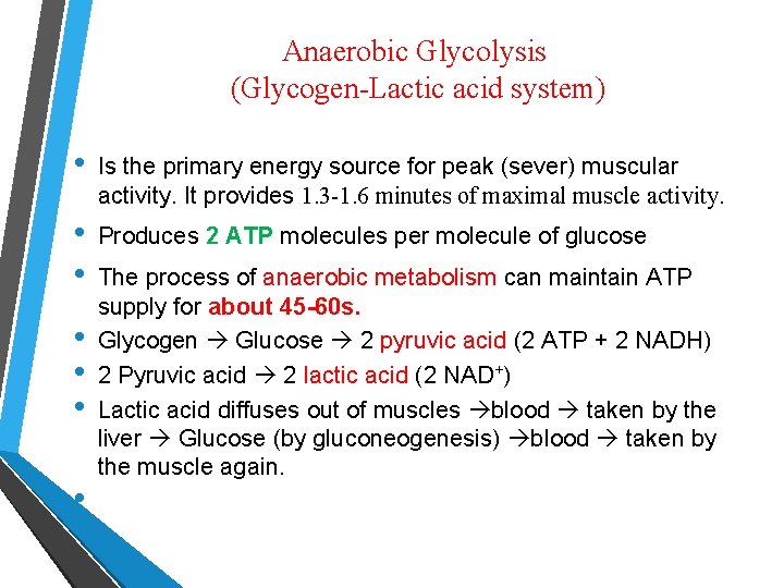 Anaerobic Glycolysis (Glycogen-Lactic acid system) • Is the primary energy source for peak (sever)