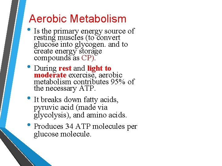 Aerobic Metabolism • Is the primary energy source of • • • resting muscles