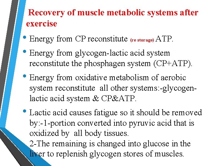 Recovery of muscle metabolic systems after exercise • Energy from CP reconstitute ATP. •