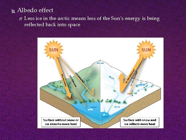  Albedo effect Less ice in the arctic means less of the Sun’s energy