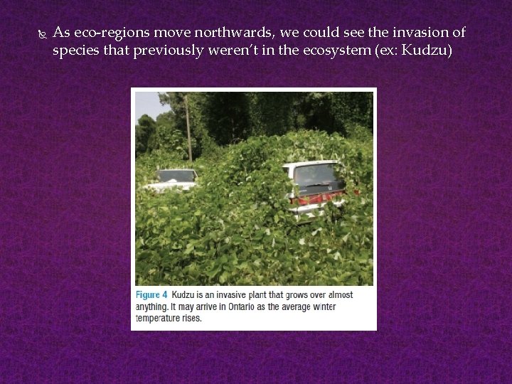  As eco-regions move northwards, we could see the invasion of species that previously