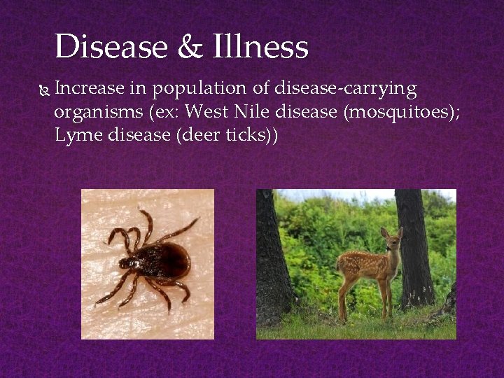 Disease & Illness Increase in population of disease-carrying organisms (ex: West Nile disease (mosquitoes);