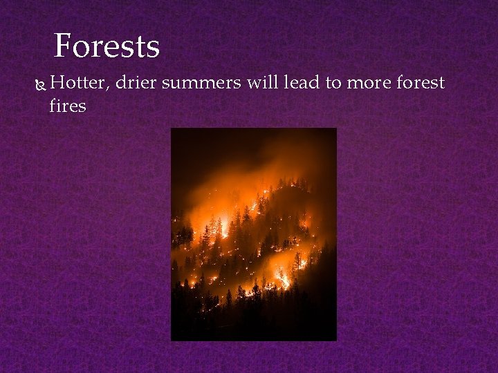 Forests Hotter, drier summers will lead to more forest fires 