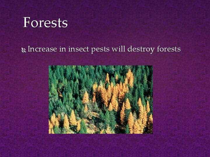 Forests Increase in insect pests will destroy forests 