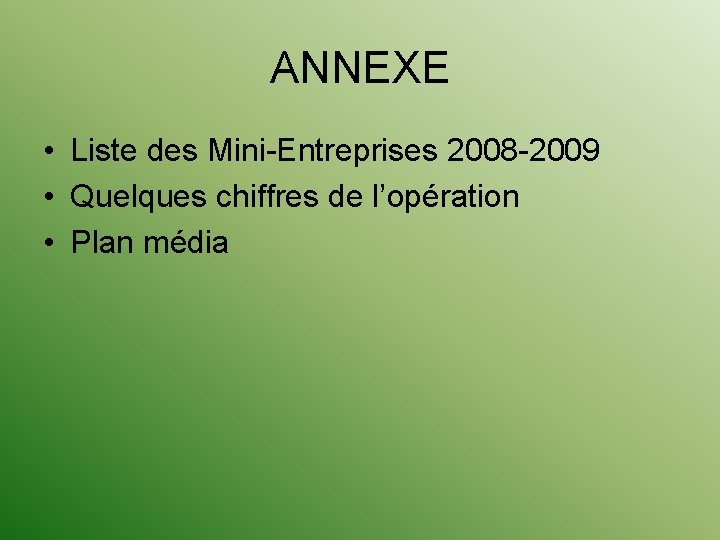 ANNEXE • Liste des Mini-Entreprises 2008 -2009 • Quelques chiffres de l’opération • Plan