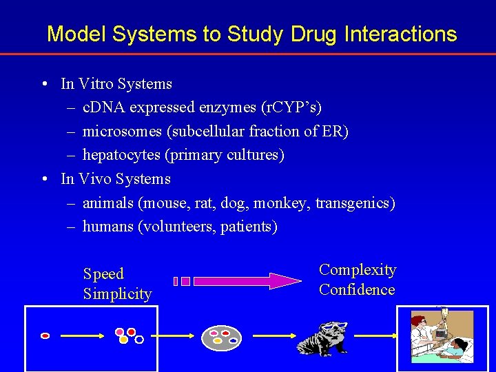 Model Systems to Study Drug Interactions • In Vitro Systems – c. DNA expressed