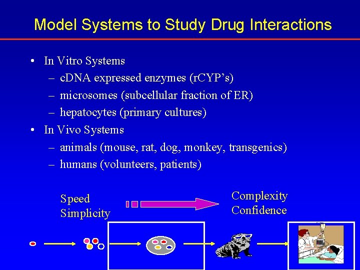 Model Systems to Study Drug Interactions • In Vitro Systems – c. DNA expressed