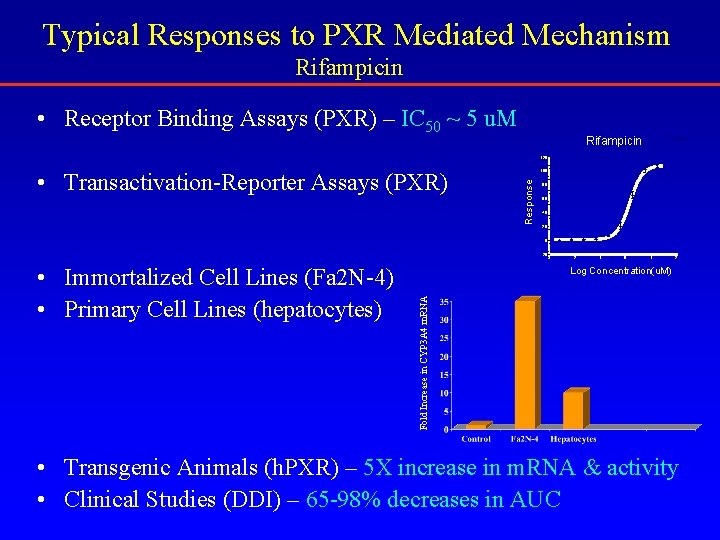 Typical Responses to PXR Mediated Mechanism Rifampicin • Receptor Binding Assays (PXR) – IC