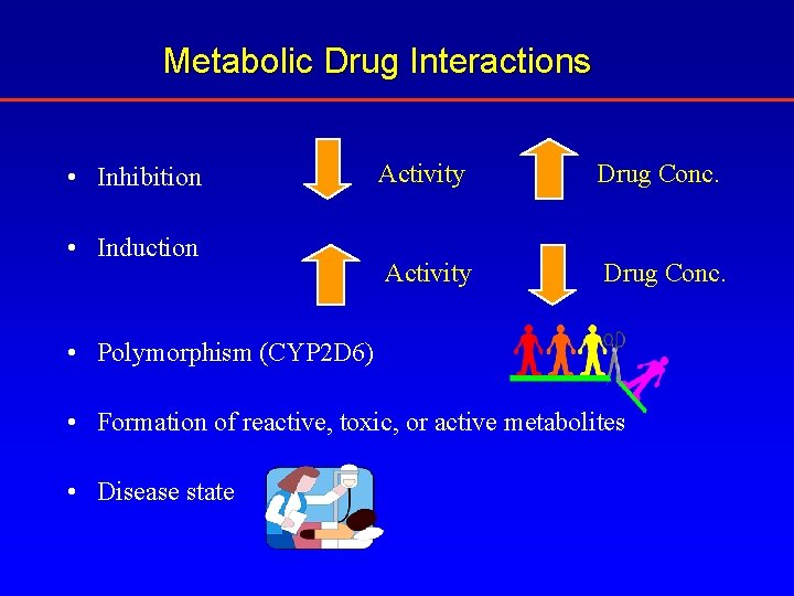 Metabolic Drug Interactions • Inhibition • Induction Activity Drug Conc. • Polymorphism (CYP 2