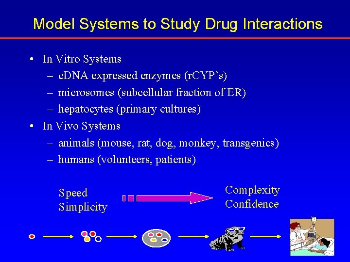 Model Systems to Study Drug Interactions • In Vitro Systems – c. DNA expressed